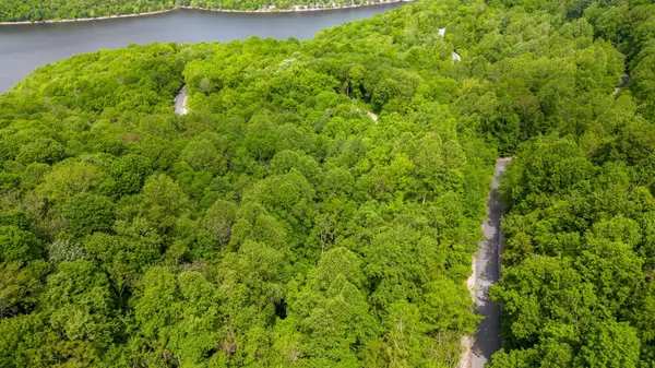 0 Lakeview Dr, Smithville, TN 37166