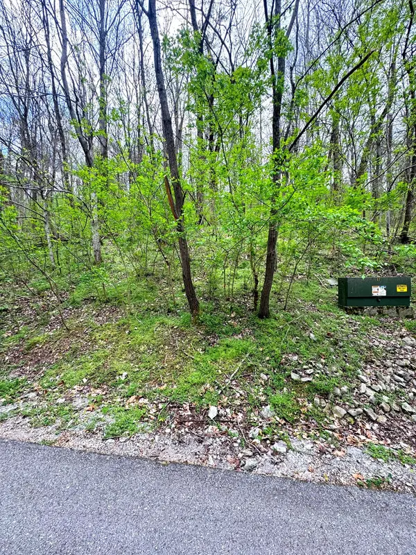 0 Lakeview Dr, Smithville, TN 37166