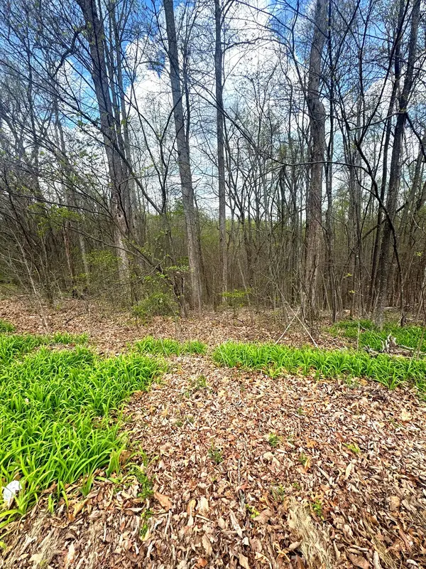 0 Coconut Ridge Rd, Smithville, TN 37166