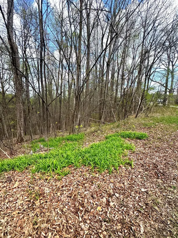 0 Coconut Ridge Rd, Smithville, TN 37166