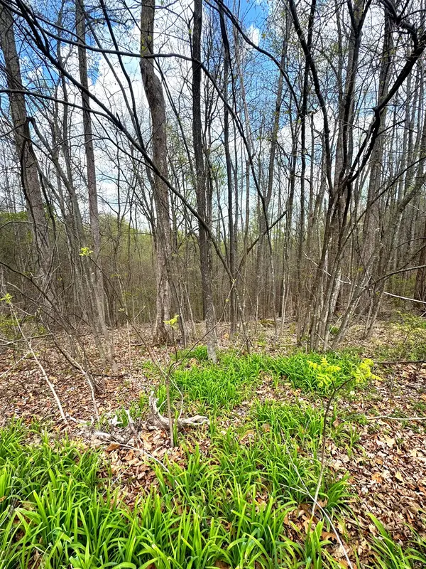 0 Coconut Ridge Rd, Smithville, TN 37166