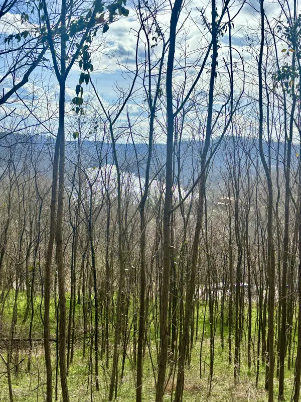323 Seaton Dr, Smithville, TN 37166