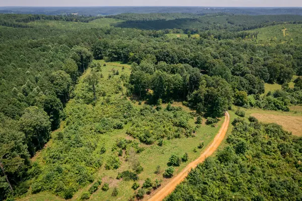 2023 Wayland Springs Rd, Iron City, TN 38463
