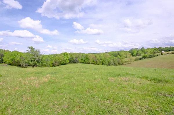 3915 Oak Ridge Rd, Palmyra, TN 37142