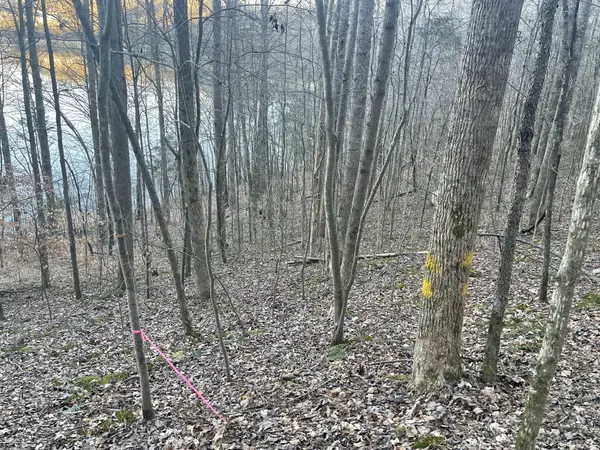 0 Back Bone Rd, Sparta, TN 38583