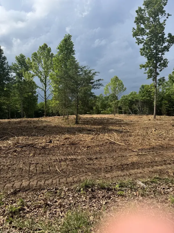 0 Ridgetop Road, Hampshire, TN 38461