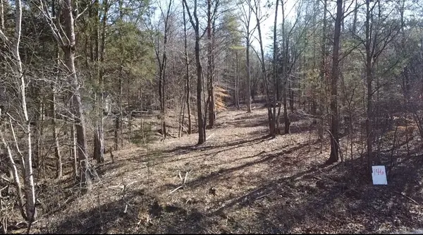 146 Till Rd, Hohenwald, TN 38462
