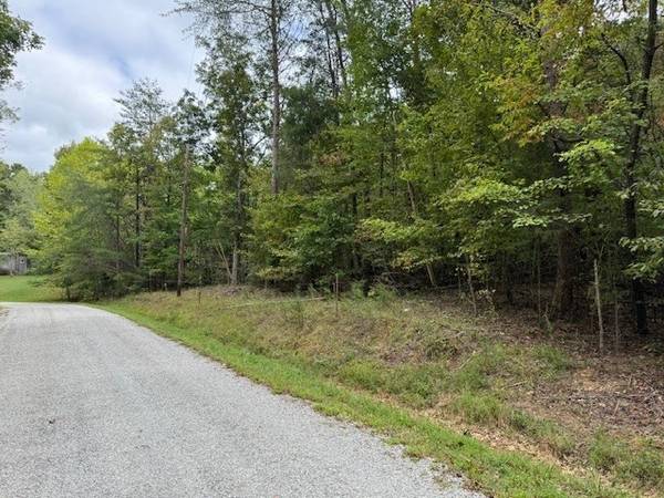 146 Till Rd, Hohenwald, TN 38462