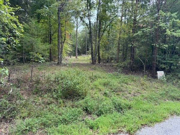 146 Till Rd, Hohenwald, TN 38462