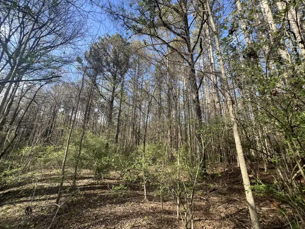 116 Zara Spook Dr Lot 139, Cedar Grove, TN 38321