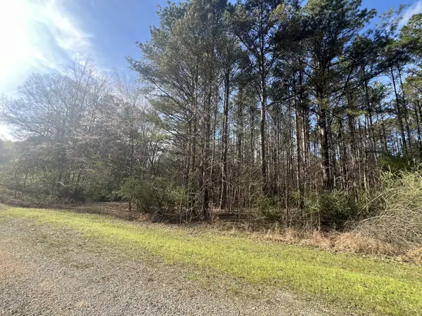 116 Zara Spook Dr Lot 139, Cedar Grove, TN 38321