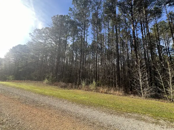 116 Zara Spook Dr Lot 139, Cedar Grove, TN 38321