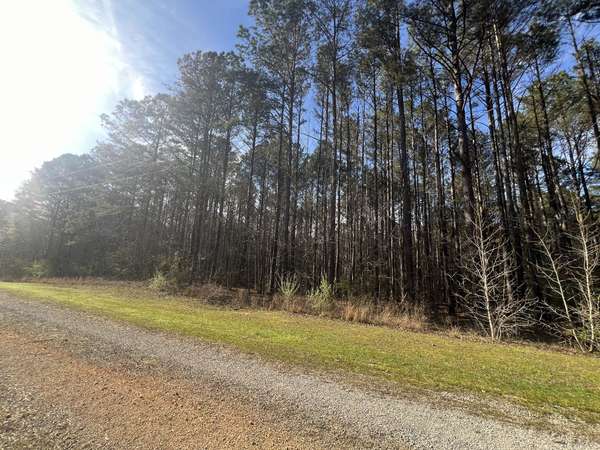 116 Zara Spook Dr, Cedar Grove, TN 38321