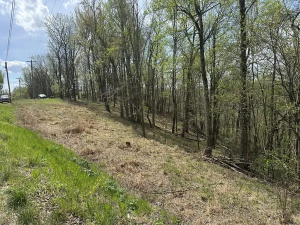 0 Maggart Rd, Elmwood, TN 38560