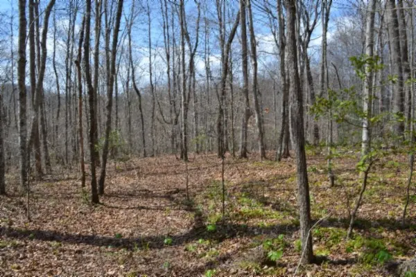 0 Buffalo Rd, Oneida, TN 37841