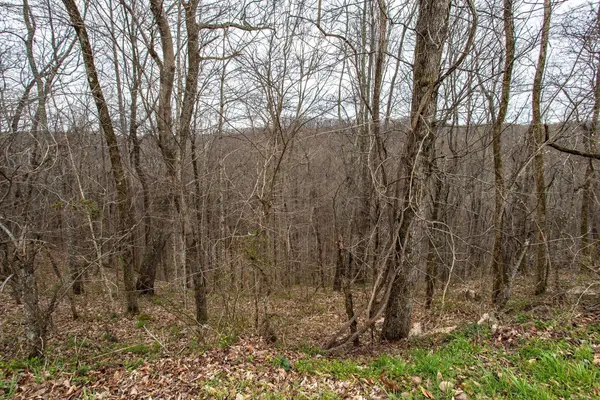 0 Coconut Ridge Rd, Smithville, TN 37166