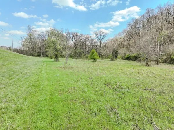 0 Pickard Hollow Rd, Mount Pleasant, TN 38474