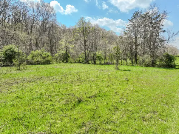 0 Pickard Hollow Rd, Mount Pleasant, TN 38474