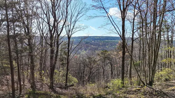 1350 Split Rail Way, Guild, TN 37340
