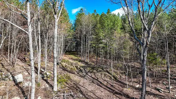 1350 Split Rail Way, Guild, TN 37340
