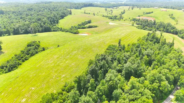 0 Brigham Branch Road, Erin, TN 37061