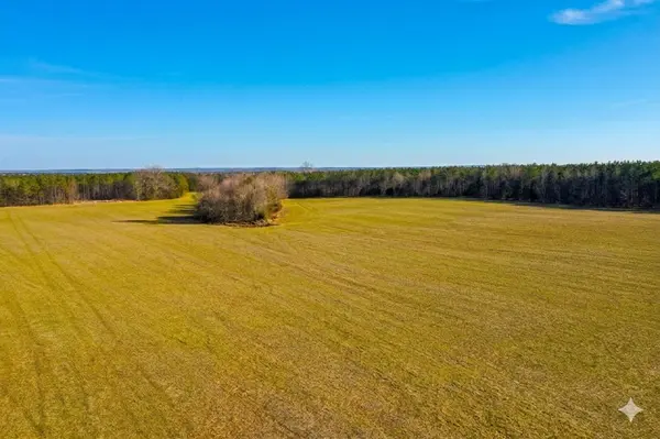 0 Doe Road, Saltillo, TN 38370