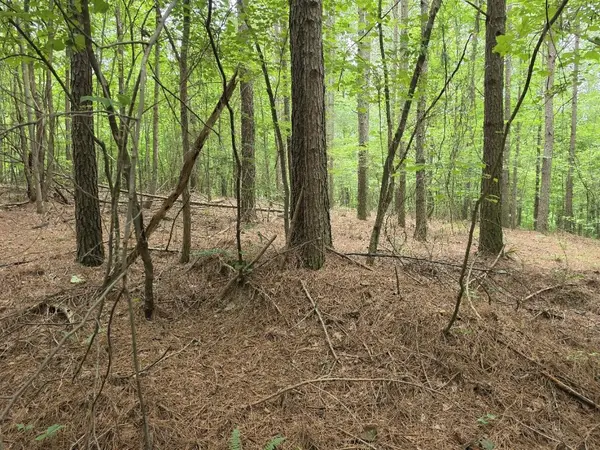 205 Poplar Bend, Jasper, TN 37347
