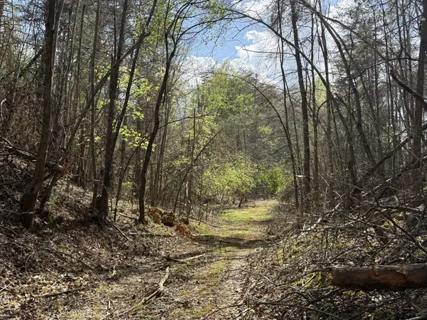 0 Allens Creek Rd, Hohenwald, TN 38462