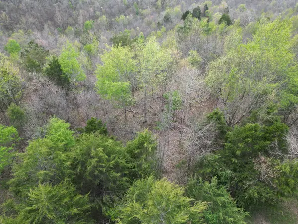 0 Allens Creek Rd, Hohenwald, TN 38462