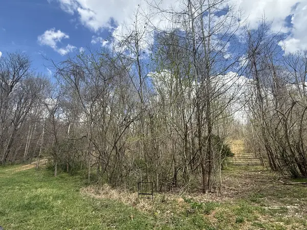 0 Allens Creek Rd, Hohenwald, TN 38462