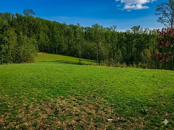 0 Elk Drive, Hurricane Mills, TN 37078