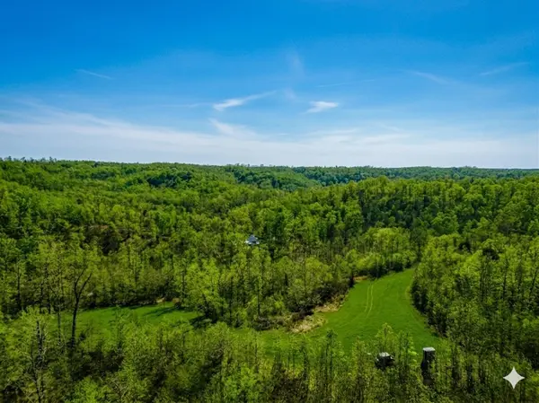 0 Elk Drive, Hurricane Mills, TN 37078
