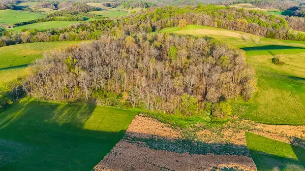 0 John Brinkley Rd, Shelbyville, TN 37160