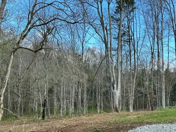 0 Campbellsville Road, Pulaski, TN 38478