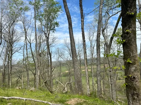 0 Campbellsville Road, Pulaski, TN 38478