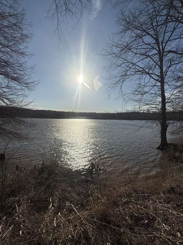 415 Hardin Bottom Rd, Clifton, TN 38425