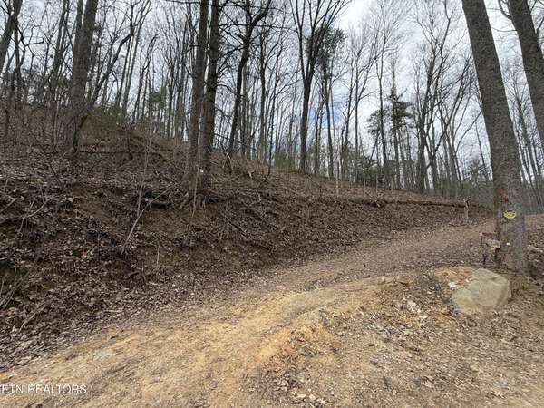 401 Reece Hollow Rd, Del Rio, TN 37727