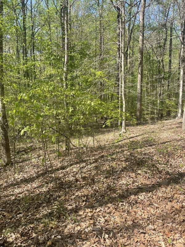 389 Excalibur Trl, Cedar Grove, TN 38321
