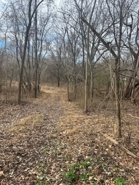 0 Mayo Rd, Adams, TN 37010