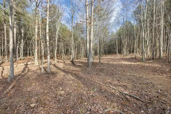 0 Raulston Falls Road, Jasper, TN 37347