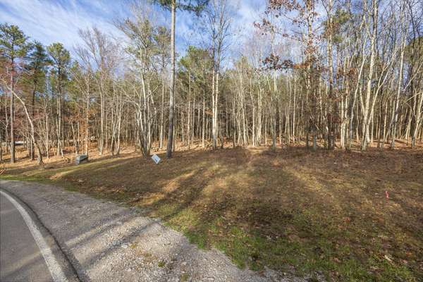 0 Raulston Falls Road, Jasper, TN 37347