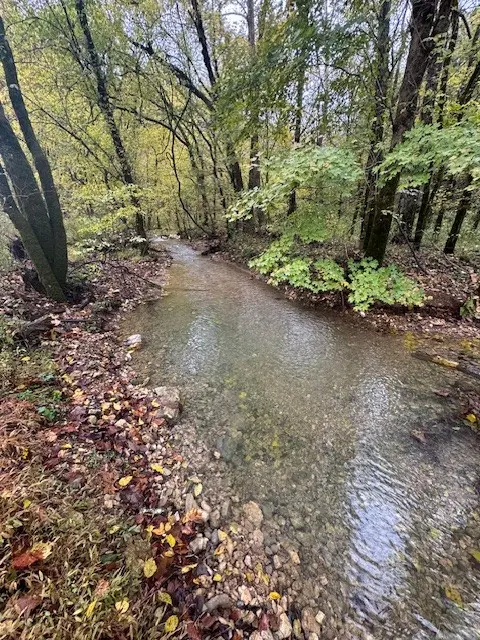 0 McBroom Branch Rd, Baxter, TN 38544