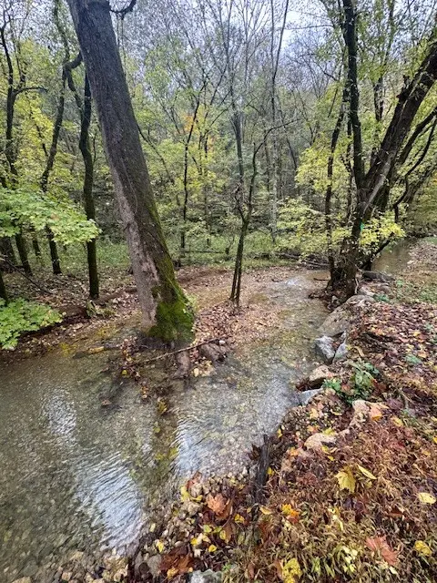 0 McBroom Branch Rd, Baxter, TN 38544
