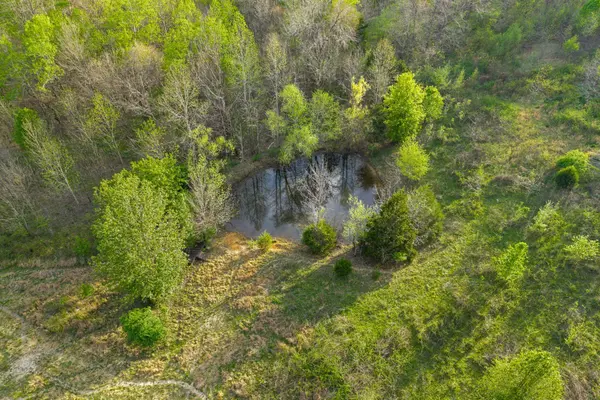 2 Bud Parker Lane, Erin, TN 37061