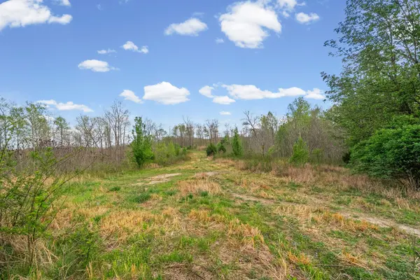 3 Bud Parker Lane, Erin, TN 37061