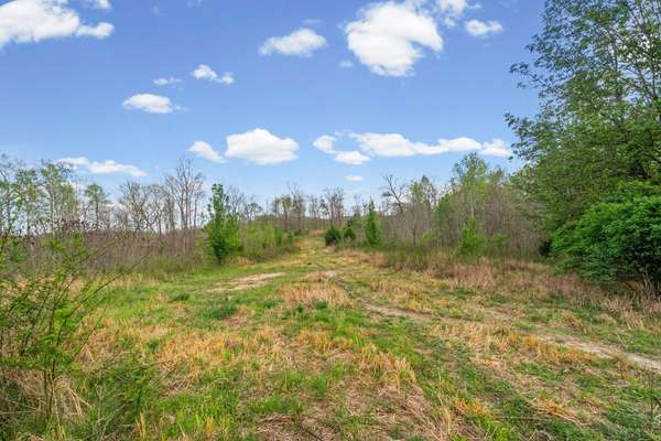 3 Bud Parker Lane, Erin, TN 37061