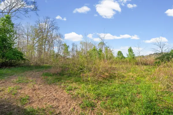3 Bud Parker Lane, Erin, TN 37061