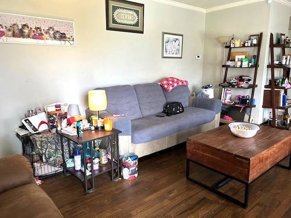 102 Cofer Dr, Springfield, TN 37172