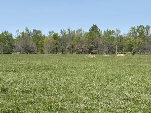 0 Hollow Springs Road, Bradyville, TN 37026