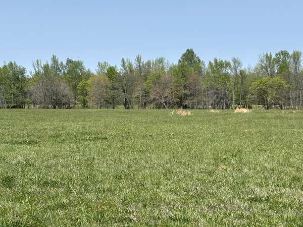 0 Hollow Springs Road, Bradyville, TN 37026
